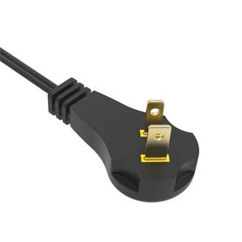 P020P Power Supply Cord